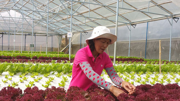  Lâm Đồng sẽ trở thành Trung tâm nông nghiệp giá trị cao của Đông Nam Á